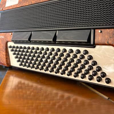 Neu Weltmeister Opal Piano Akkordeon image 2