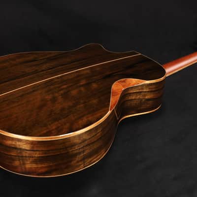 Furch Red Deluxe GC-LI Spruce Top Malaysian Blackwood with Case 791 image 8