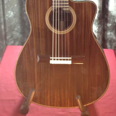 Cordoba Fusion 14 Rose w/ Solid Rosewood Top - Fishman Presys Preamp - Tuner & Premium Gigbag #25295 image 22
