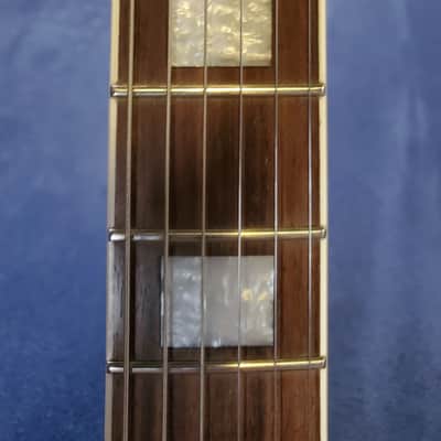 Eastwood Airline Tuxedo with Bigsby 2022 - Black with white trim image 5