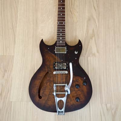 2015 Echopark Custom Crow Case Study Boutique Semi-Hollowbody Electric Guitar w/ ohsc, QOTSA image 2