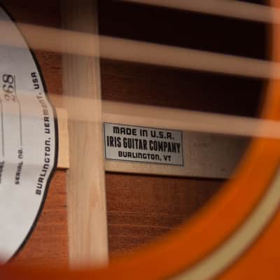 Iris  DF Flat Top Acoustic Guitar, ser. #268, black tolex hard shell case. image 14