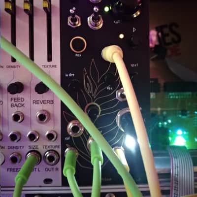 bizarre | jezabel Chloe black gold Vacuum Tube Distortion, Filter,Delay and LPG/VCA image 6