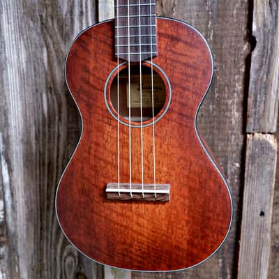 Eastman EU1-T All Solid Mahogany Tenor Ukulele w/ Gig Bag image 1