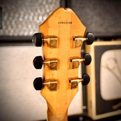 Fender D'Aquisto Elite Natural 1984 image 10