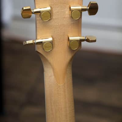 Immagine Taylor 614ce - Solid Maple / Spruce / Ebony - 14
