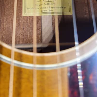 Eastman E1SS-SB 2023 image 22