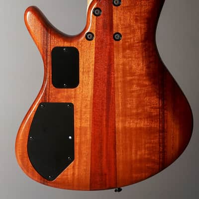 Roscoe Century Standard Plus Fretless image 5