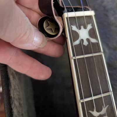 Washburn B16 Five String Banjo Sunburst with Case image 5