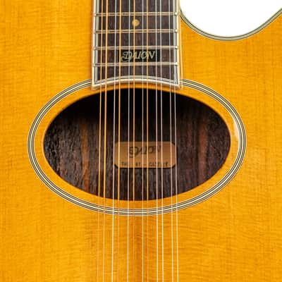 Daion Year Series '81 Gazelle / 12 String Electric Acoustic image 4