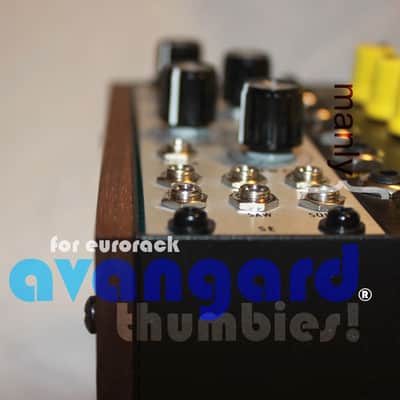 • Thumbies (30-pack) • Model E6 • Eurorack Module 3mm Thumbscrews • Avantgarde Sound 2024 image 6