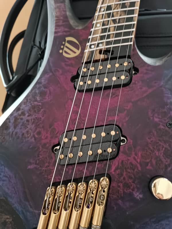 Overload Custom Guitars Themis 6 2025 like NEW fan fret | Reverb