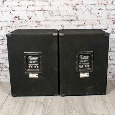 Peavey - SP 5 XT - Pair of Passive Full-Range PA Speakers - 250/500w at 8O, x3093 (USED) image 5