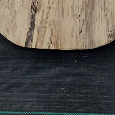 USA Double Cut Tele Guitar Body Spalt maple Black walnut Body Project  U Fix It image 3