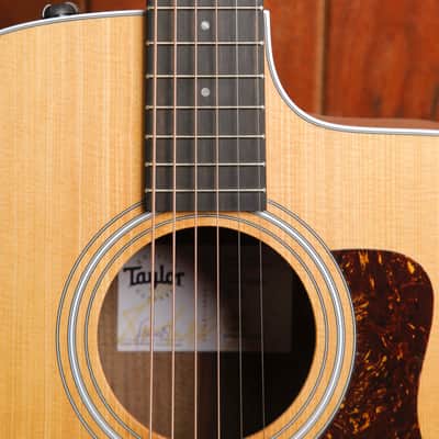 Taylor 210ce Dreadnought Acoustic-Electric Guitar image 5