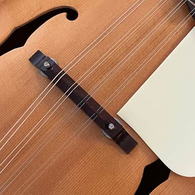 Kay Mandolin - Classic Mandolin! - Made in USA 🇺🇸- Gorgeous Sound and Great Condition! - image 6