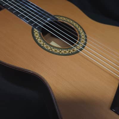 New Alhambra 4P Solid Top Classical Nylon String Guitar Made in Spain Logo'd Gig Bag image 12