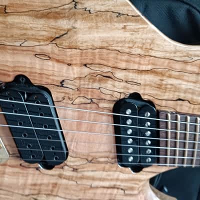 Ormsby Goliath Custom Shop 6 Black Limba MINT image 6