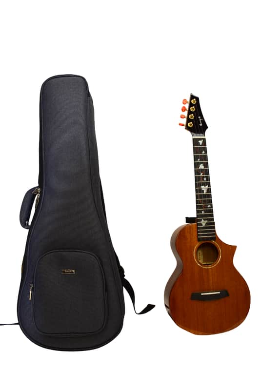 Enya EUT-M6 Solid Mahogany Tenor Ukulele w/ Bag image 1