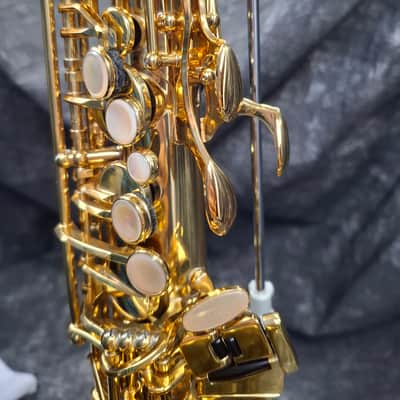 NO TARIFFS - Selmer Reference 54 Hummingbird Charlie Parker Edition Alto Saxophone image 4