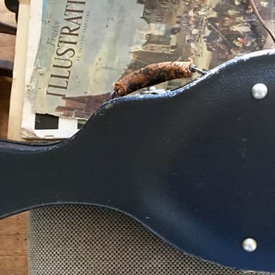 Gibson The Gibson F4 Mandolin 1920 image 18