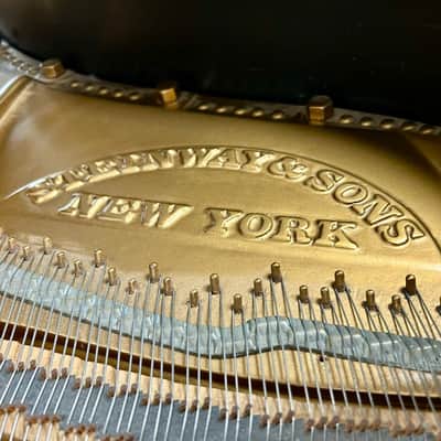 1950 Steinway & Sons Model B - 6'11" Grand Piano Exceptional Value image 13