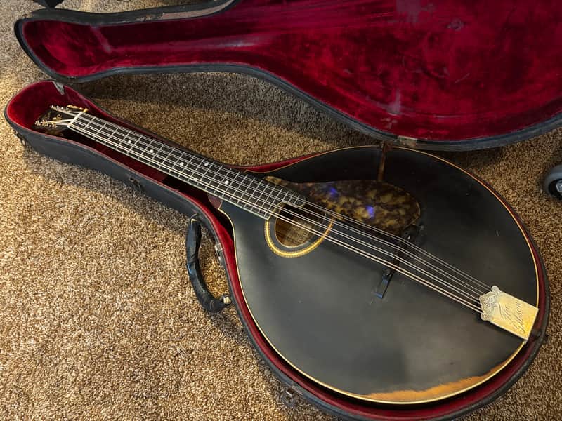 Gibson K-2 Mandocello black with Original Case 1913 mandolin family Mando image 1