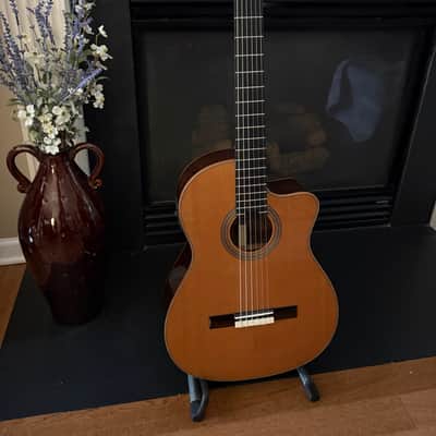 Cordoba Fusion Orchestra 12 Cutaway Nylon String 2026 - Glossy Solid Cedar Top, Rosewood Sides and Back image 13