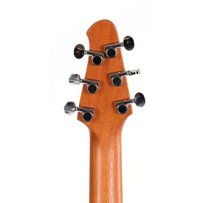 Powers Electric A-Type Ebony image 9