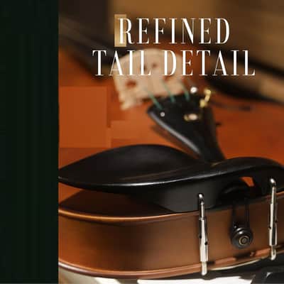 4/4 Violin Set: Ergonomic Body, Solid Spruce Top Fiddle, Maple Back, Acoustic Beginner Violin with Hard Case, Lesson Book, Bow, Shoulder Rest, Tuner, Fretboard Stickers, Matte Brown image 3