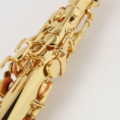 【Special price】 Yanagisawa A-WO1 [AW01] Professional Alto Saxophone image 12