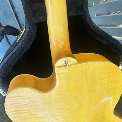 Devlin DVE 9 ~ Jazz Box ~ Hard Case image 2
