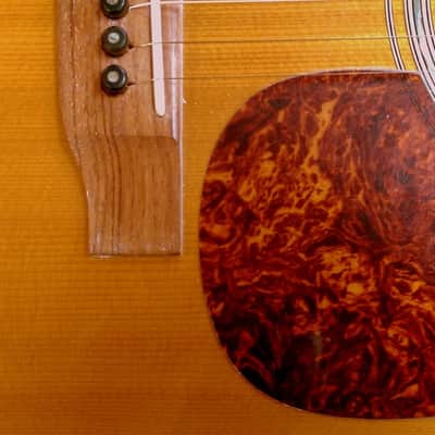 1987 Martin Custom Shop M38 - Solid Quartered Brazilian Rosewood - One of a Kind! image 20