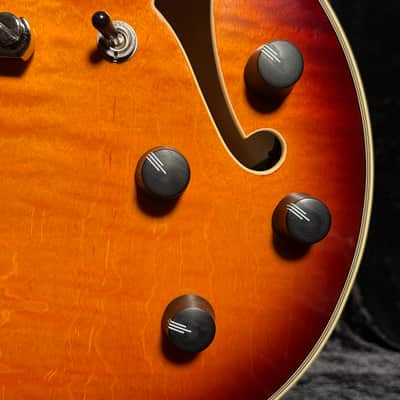 Immagine D'Angelico Premier DC Dark Iced Tea Burst With Free Gig Bag - 7