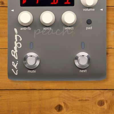 LR Baggs Preamps & Pedals | Voiceprint DI image 1