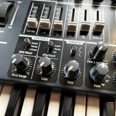 Arturia MiniBrute 25-Key Synthesizer 2012 - 2018 - Black image 4
