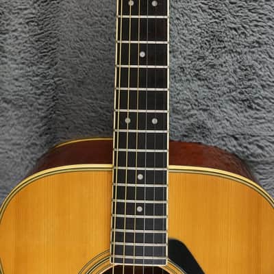 Yamaha FG-202D Folk Guitar Japan image 7