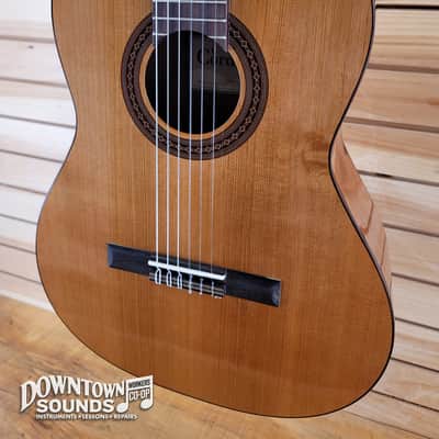 Cordoba Dolce 7/8th Size Nylon-String Classical Acoustic Guitar image 3