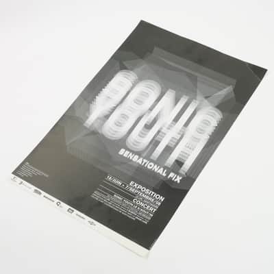 Sonic Youth and Sensational Fix 2008 French Poster #1(Black) 24"x16" Owned by Sonic Youth image 2