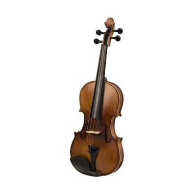 4/4 Full-Size Acoustic Violin Student Fiddle Set QVL-01 with Case, Shoulder Rest, Bow, Tuner & Extra Strings image 2