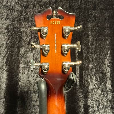 D'Angelico Premier DC Brown Burst With Free Gig Bag image 7