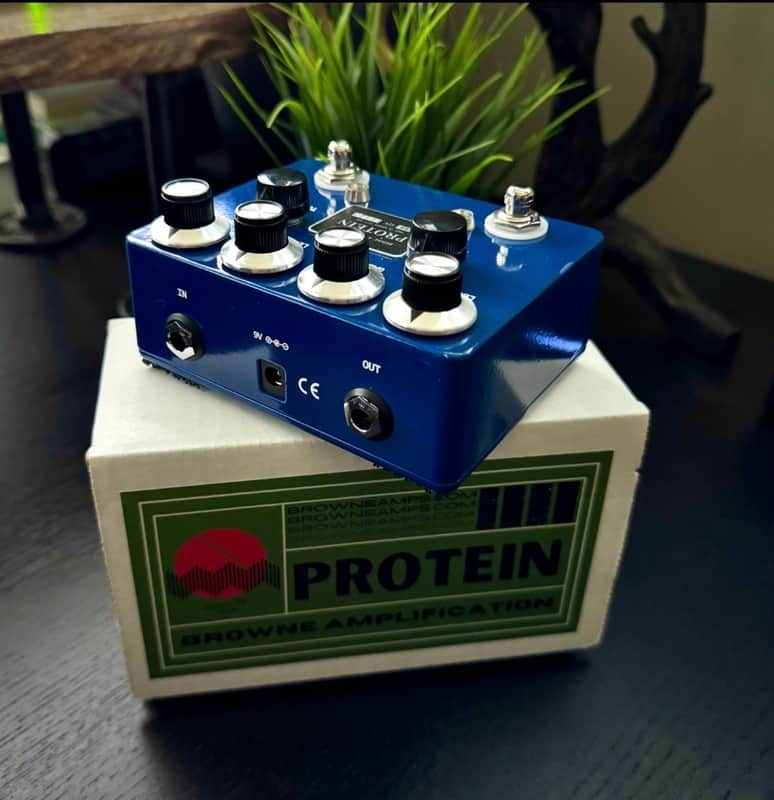Browne Amplification Protein Dual Overdrive V3 | Reverb