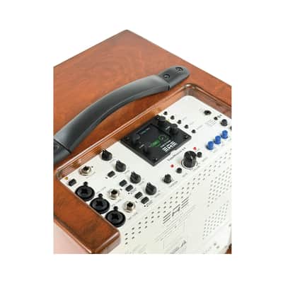 Elite Acoustics EAE ToneWeaver 4-8 Rechargeable 120 Watt 8” Acoustic Amp with 4 Channel Digital Mixer/LFP Battery/Bluetooth - Wood image 9