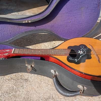 Amada Bowl Back Vintage Mandolin |  1950s image 7