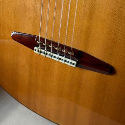 Paul McGill Super Ace Nylon Crossover Classical RMC image 6