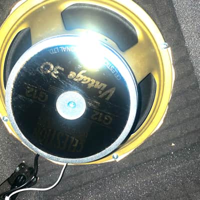 Dual 12inch Speaker Guitar ISO Enclosure image 9