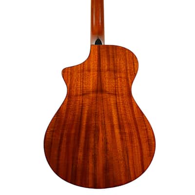 2001 Breedlove Limited Edition SC25/K Custom Concept Deep Body #6 of 10 Cedar/Koa Natural #2444 image 8