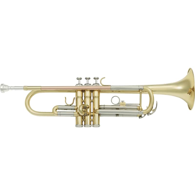 SML Paris VSM TP300 Tromba Sib Bild 1