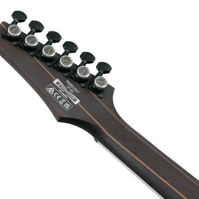 Ibanez RG 6 String Electric Guitar - Blue Chameleon (RG631ALFBCM) image 3