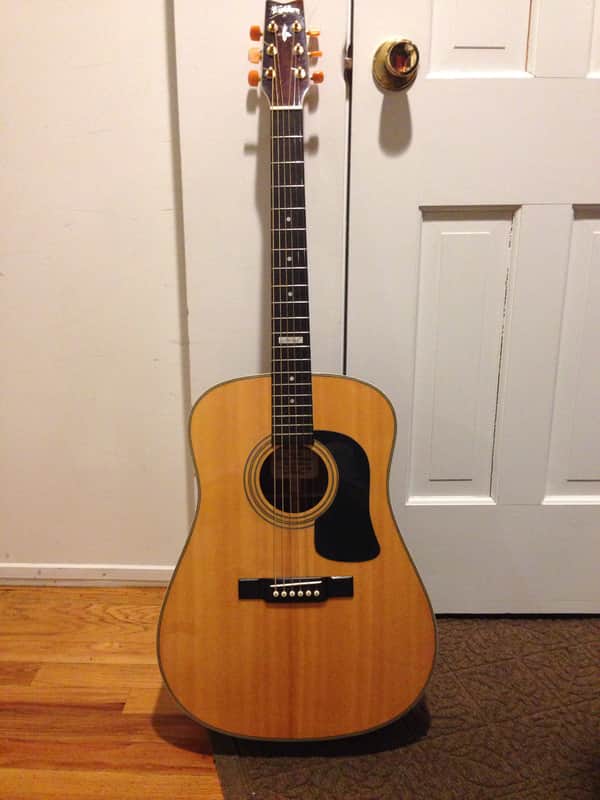 Washburn D24S 1990 image 1